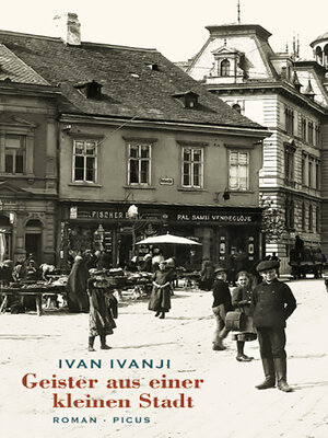 cover image of Geister aus einer kleinen Stadt